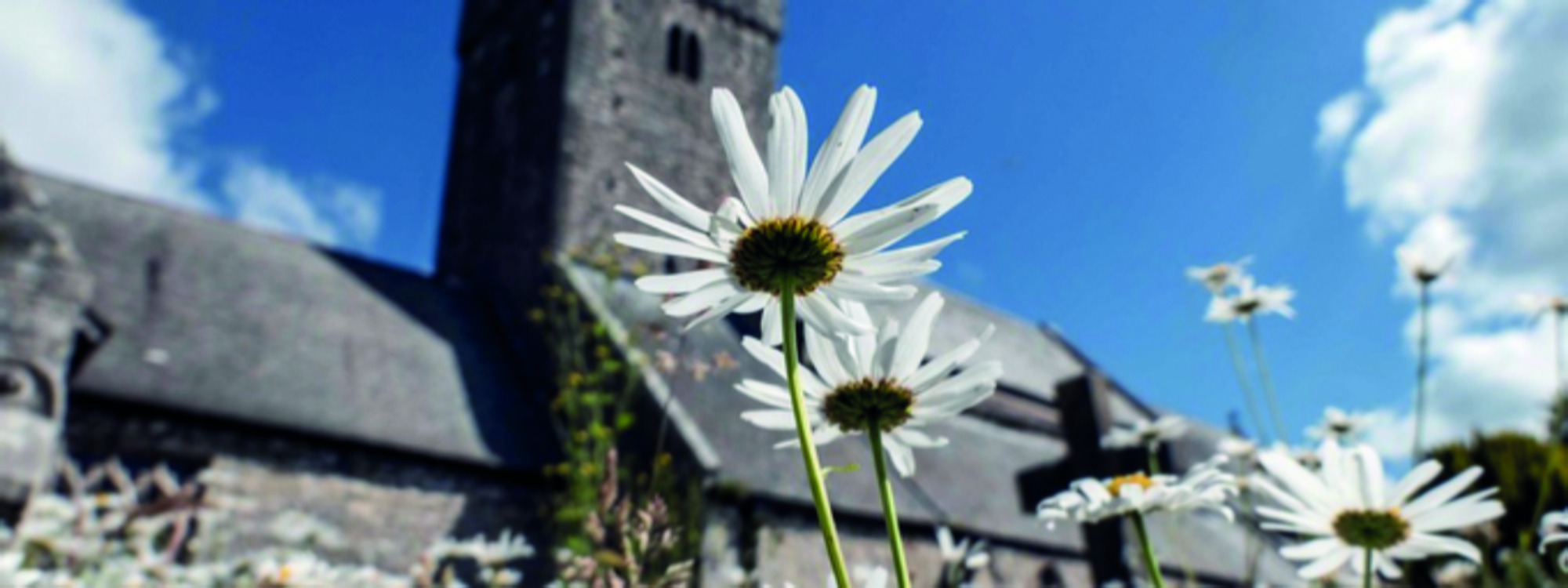 Help Us To Respond Faithfully*To the Climate and Nature Crisis*Eco Church