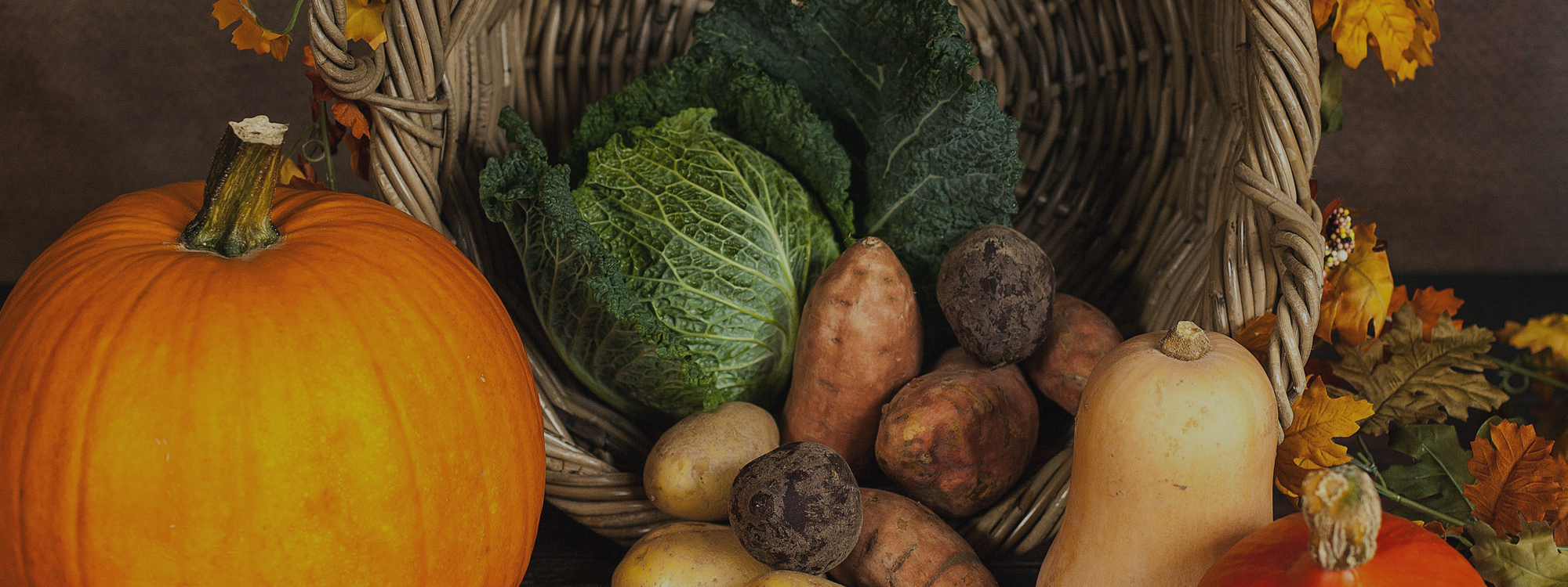 St Illtud's Church*Harvest 2026*Service and Supper