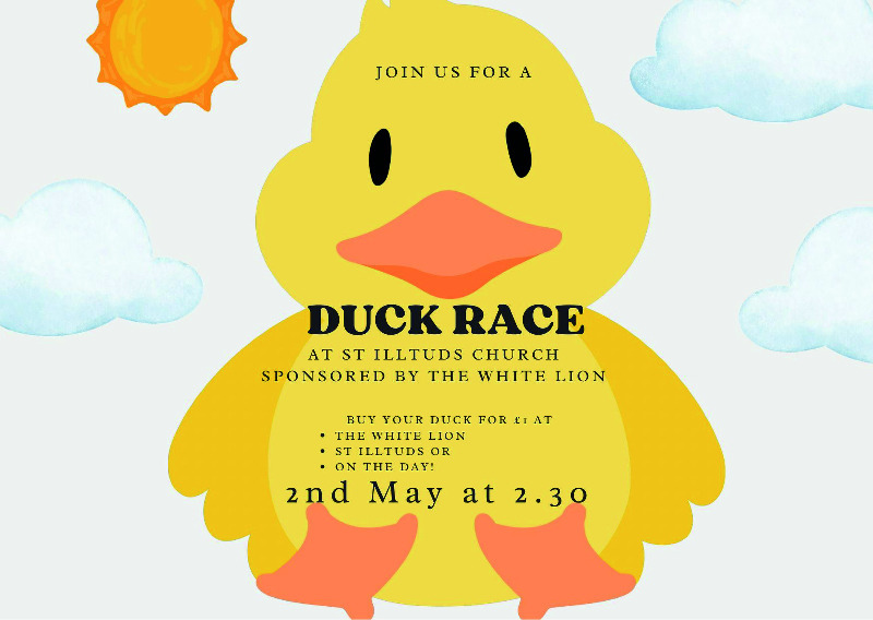 Duck Race